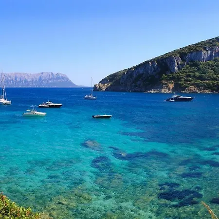 Figari