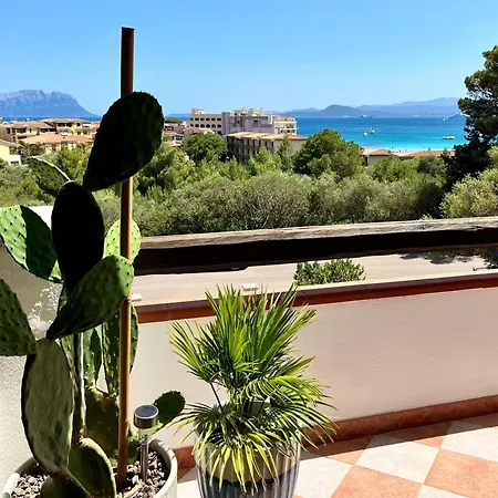 Apartment Figari *